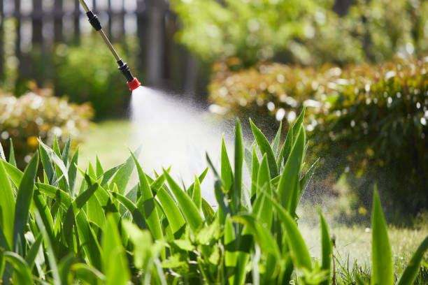 Tamper-Resistant Bait Stations for Rodents in Burgaw