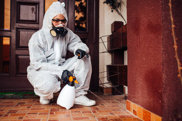 Attic and Crawl Space Rodent Treatment in Burgaw