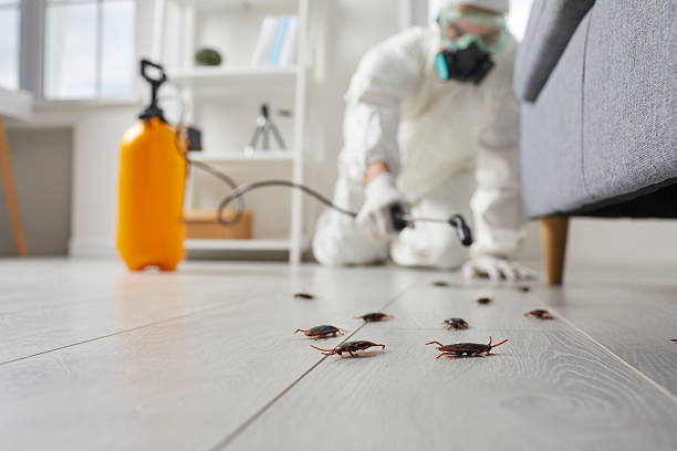Commercial Rodent Management in Burgaw